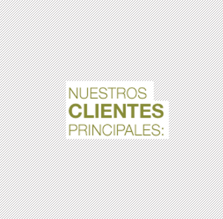 Nuestros Clientes Principales